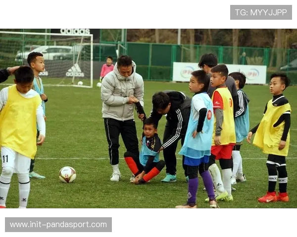 法布雷加斯投身青训教材编写 助力青少年足球教育获广泛好评 法布雷加斯投身青训教材编写 助力青少年足球教育获广泛好评